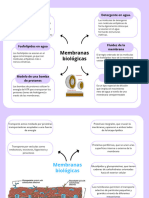 Semana 9 de Biologia