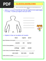 Ficha 18 Junio CT Sistema Respiratorio