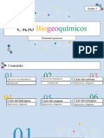 Ciclos Biogeoquímicos