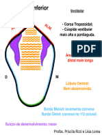 Desenhos Pri Rizzi