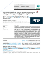 Phytochemical Analysis GCMS Profile