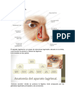 Clase 6 - Anatomía Del Aparato Lagrimal