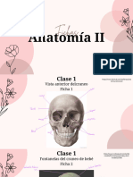 Fichas Anatomía II 1