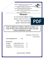 Etude Des Différentes Techniques Culturales Pratiquées Aux Vergers D'olivier Dans La Région Semi-Aride DZ