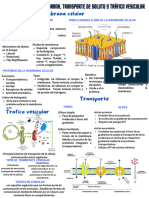 Trabajos de Biología de Eucariontes