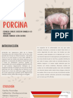 Viruela Porcina