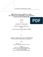 Principales Maladies Du Lapin, Du Cobaye, Du Chinchilla, Du Hamster Et Du Rat de Compagnie