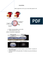 Oftamología Temas Segundo Interciclo Lección