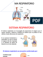 Tema 13 - Sistema Respiratorio