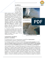 Material Complementario - Contaminación Atmosférica