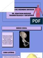 OSTEOLOGIA