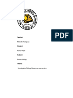 Investigacion Del Sistema Nervioso