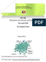 Microbial Cell Structure and Function III