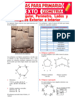 Los Polígonos Regulares y Sus Propiedades para Sexto de Primaria