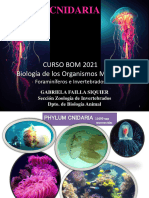 Generalidades Medusozoa y Anthozoa