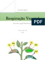 Aula 7 Fisiologia Vegetal - Respiração