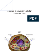 Aula 1 Parte 3 Nucleo e Divisão Celular