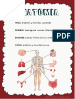 Anatomia y Fisiologia Humana