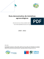 Informe Cierre Ruta Iniciativas Agroecologicas