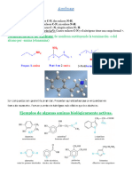 Aminas PDF