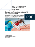 Informe Dengue