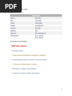 PRODUCCIÓN BOVINA DE CARNE Resumen