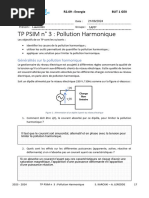 Laurentin Turcat 2024 - R2.09 - Énergie - TP PSIM N° 3