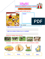 1° y 2° Martes 25 Ficha - Iden - Animales Nativos Foraneos