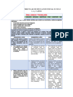 Programa Curricular de Educacion Inicial II Ciclo Ciencia y Tecnologia