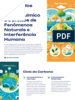 Analise Dos Ciclos Biogeoquimicos e Efeitos de Fenomenos Naturais e Interferencia Humana