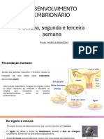 1 2 3 Semana Embrionária