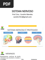 Sistema Nervoso