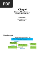 Week6 Ch6