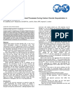 2005 Eni Good One Simulation of Physical-Chemical Processes During Carbon Dioxide Sequestration in Geological Structures