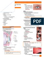 2.4diseases of The Conjunctiva, Cornea, Sclera (Pacis)