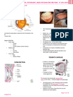 1.1 and 1.2 Eye Anatomy - Examination (Eneganiron) 2