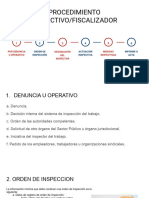 Procedimiento Inspectivo - Fiscalizador