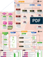 Tissues - Mind Map