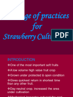 Package of Practice Strawberry