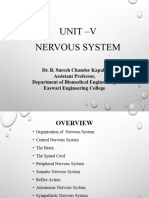 Cental Nerves System