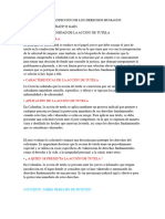 Derechos Fundamentales Taller