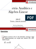 Aula 12 - Lista de Exercícios - Vetores - 240602 - 183225