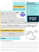 3 Enzymes Chapter Bad