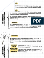 Unidad 0 Introducción Al Medio Ambiente