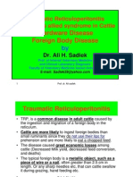 Traumatic Reticuloperitonitis by Ali Sadiek