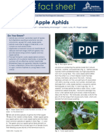 Aphids Appleb