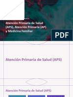 Atención Primaria de Salud (APS), Atención Pimaria