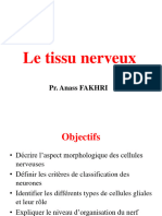 Tissu Nerveux