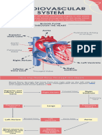 Cardiovascular System Infographics