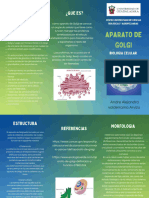 Triptico Aparato de Golgi y Reticulo Endoplasmatico